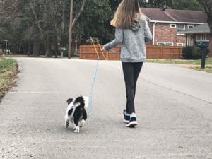 A young girl walks down a quiet street with a small dog on a leash