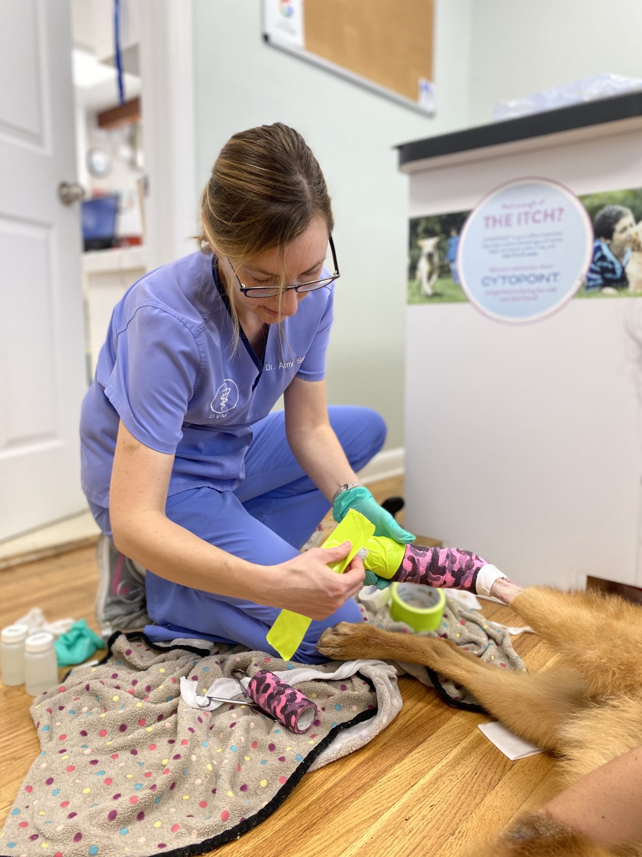 Veterinary Services in Murfreesboro, TN 37127 Family Pet Health