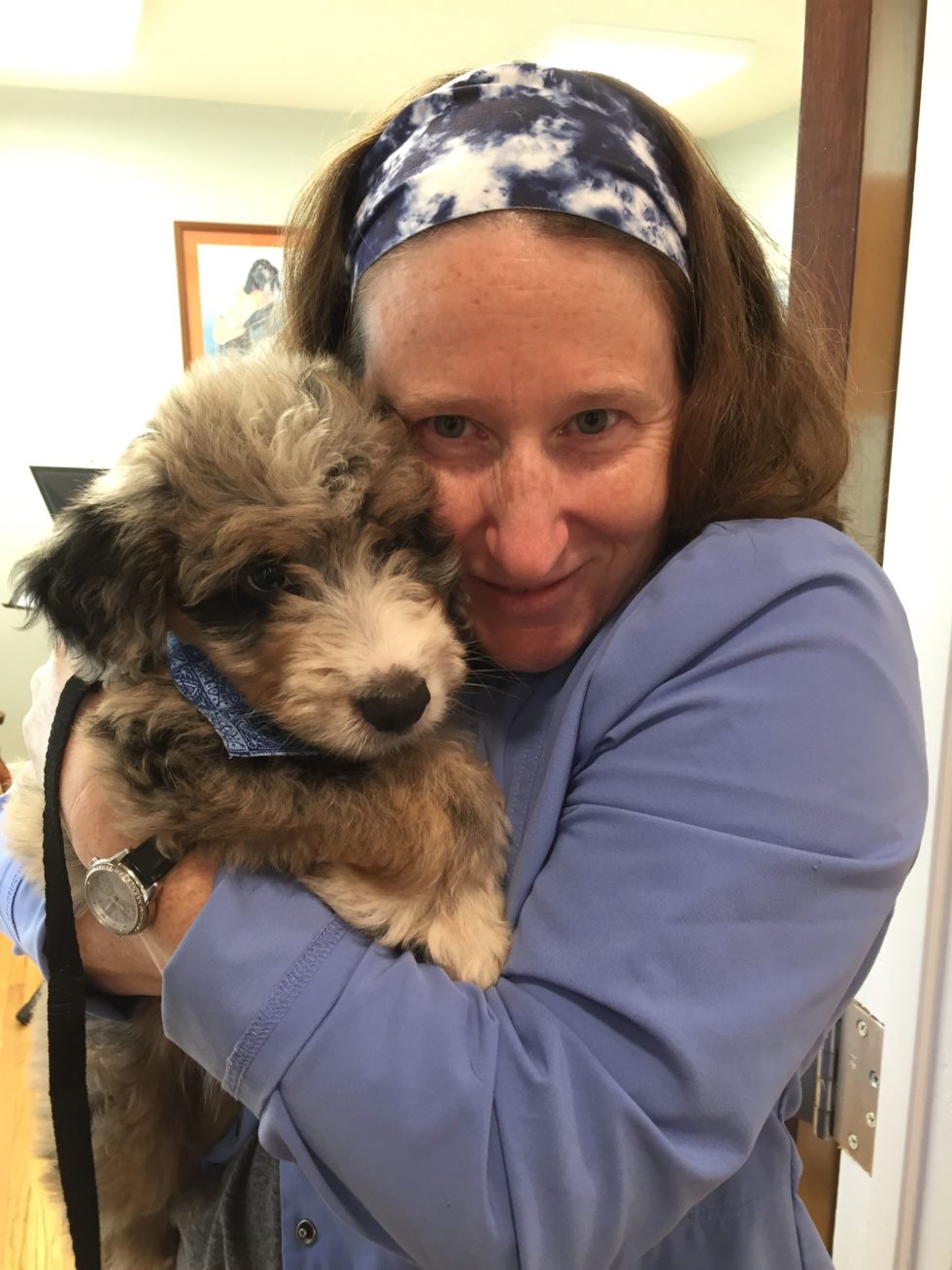 Veterinary Careers Murfreesboro, TN 37127 Family Pet Health