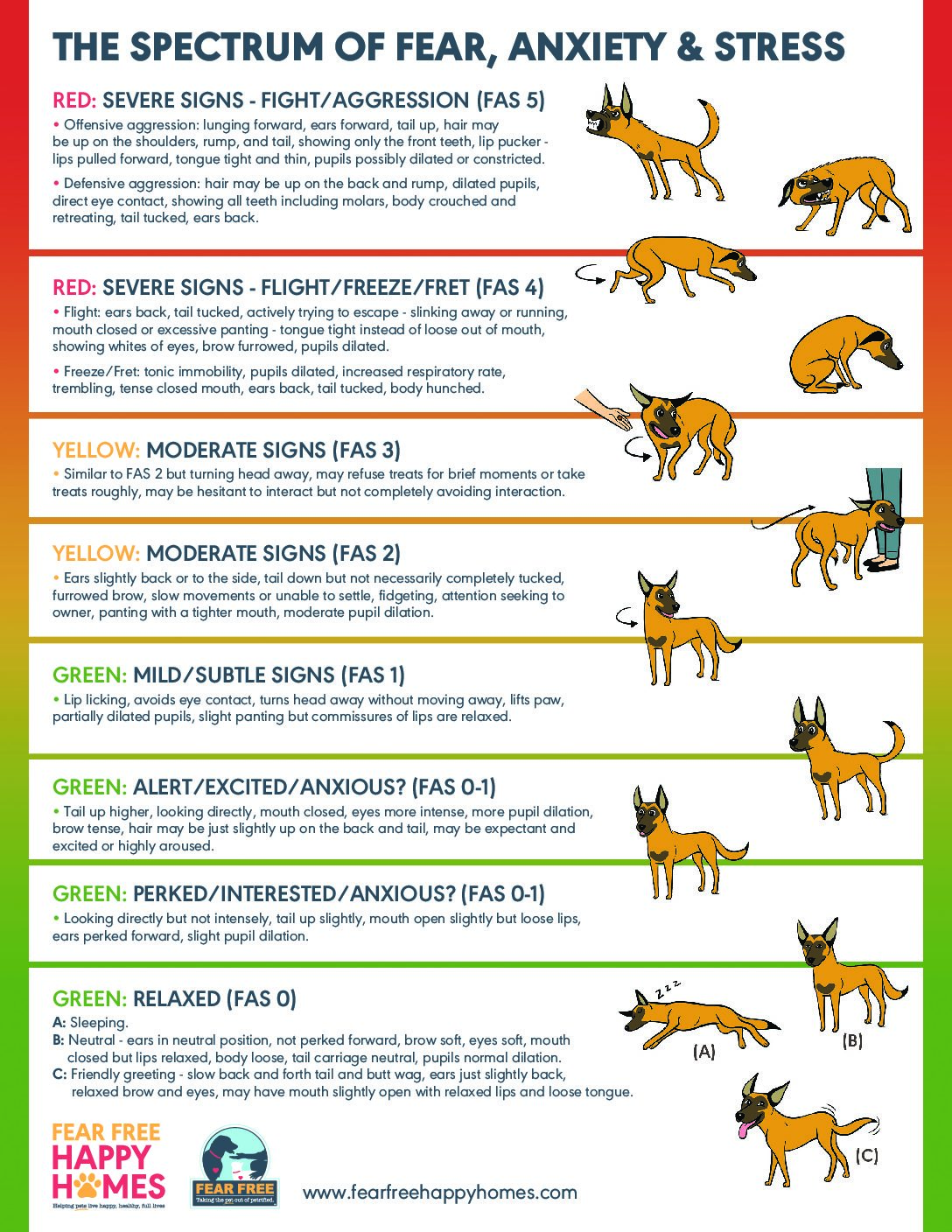 Understanding FAS Fear Anxiety And Stress In The Vet Clinic 