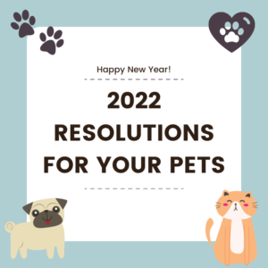 Happy New Year 2022