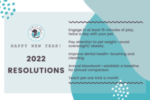 Happy New Year 2022