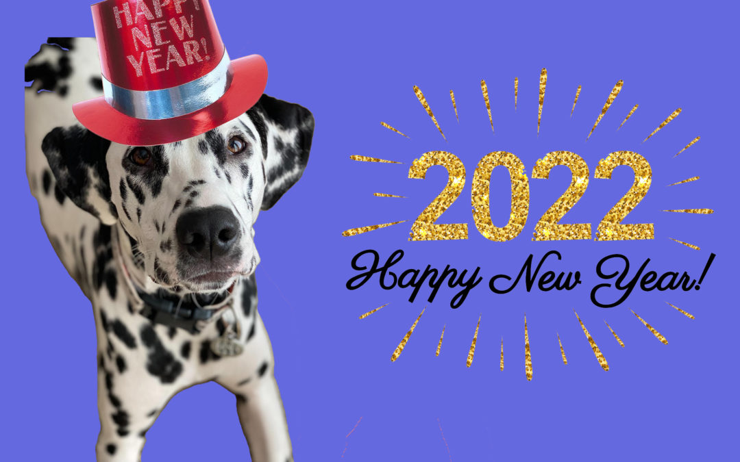 2022 Resolutions for You and Your Pet