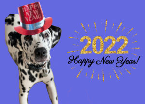 Happy New Year 2022