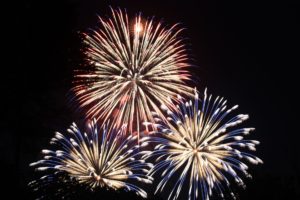 Colorful fireworks burst in the night sky