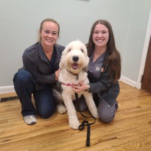 Two women in veterinary scrubs sit on the floor, smiling and holding a dog
