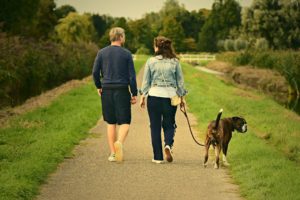 A couple walks hand-in-hand along a path with a dog