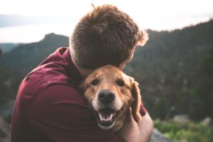 A man in a maroon shirt embraces his smiling golden retriever dog