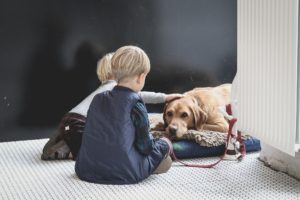 Two young children pet a golden retriever lying on a dog bed