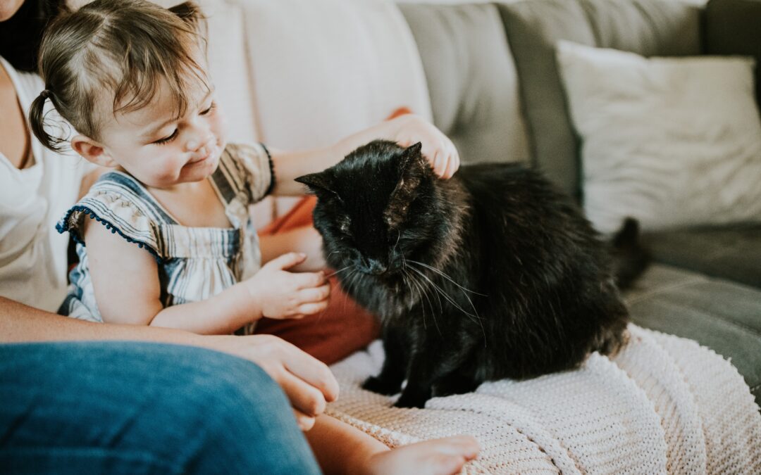 Ep 57 Five things every family with a cat should know – with Pam Johnson Bennett
