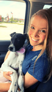 A black and white puppy wearing a pink collar sits on a person's lap in a car, looking curiously out the window.