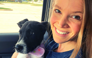 A black and white puppy wearing a pink collar sits on a person's lap in a car, looking curiously out the window.