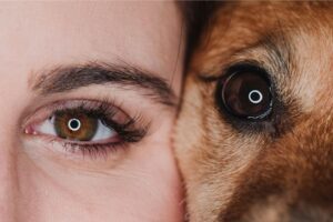 A closeup of a woman & a dog with brown eyes