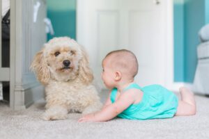 A baby and a dog play together on the floor