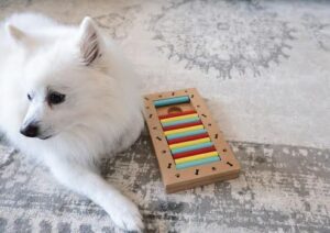A white dog rests on the floor beside a wooden toy