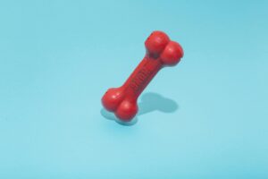 Bright red rubber dog bone toy with a Kong logo